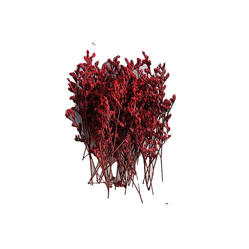 Wholesale Dried Fruit Cinnamon Dried Flowers Diy Material Package Natural Plant Candle Handmade Plaster Making Decoration